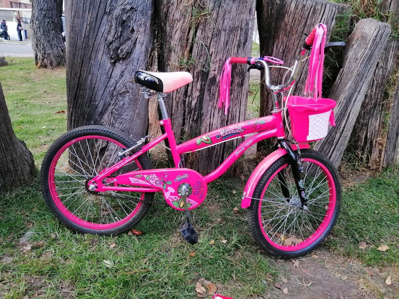 Bicicleta Milaneles Rin 20 Fucsia para Niña
